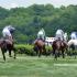 Iroquois Steeplechase 2018